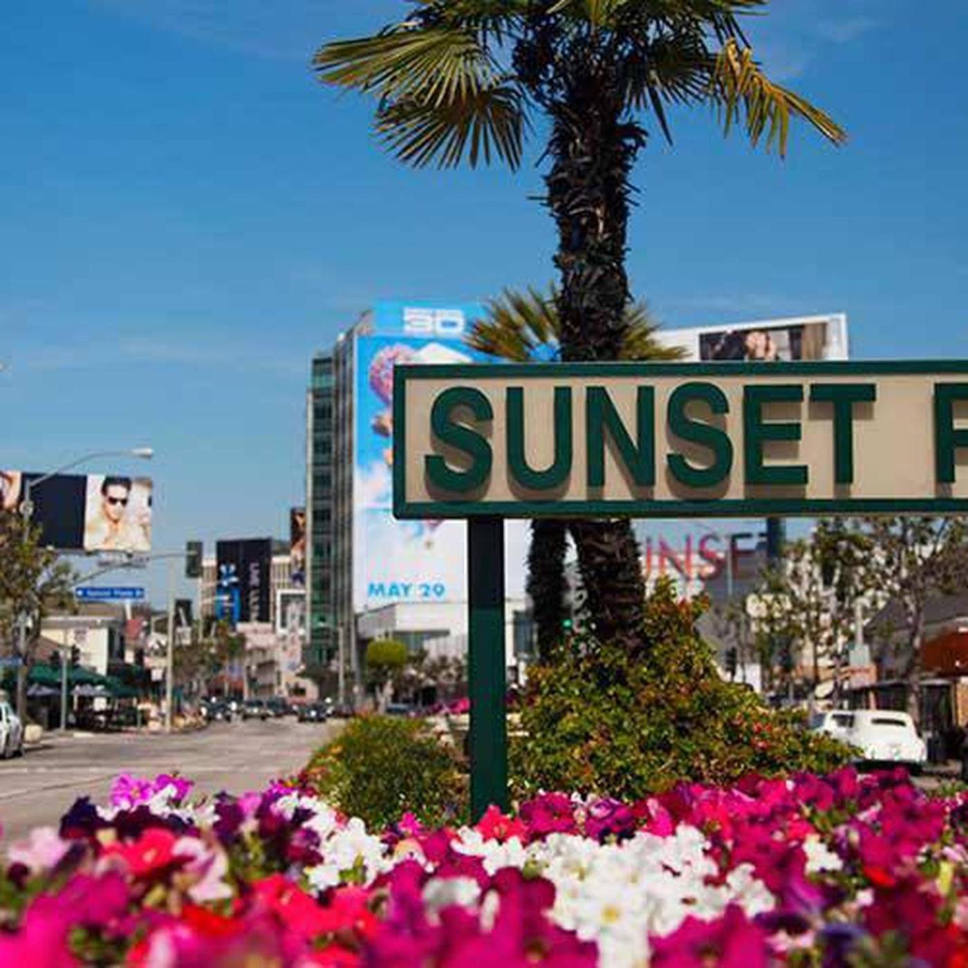 Amazing Large 2 Bedroom West Hollywood Apartment Los Angeles Eksteriør bilde